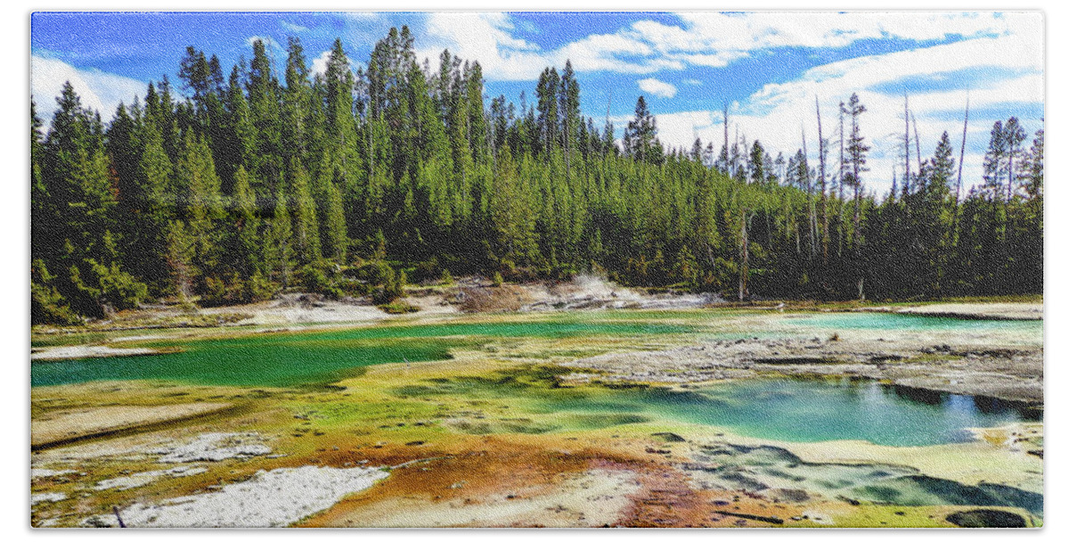 Yellowstone Beach Sheet featuring the photograph Primeval by Adam Morsa