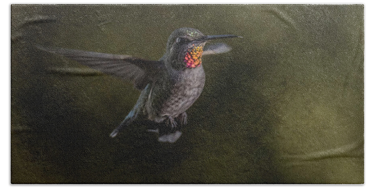 Anna's Hummingbird Beach Towel featuring the photograph Hovering Hummer by Randy Hall