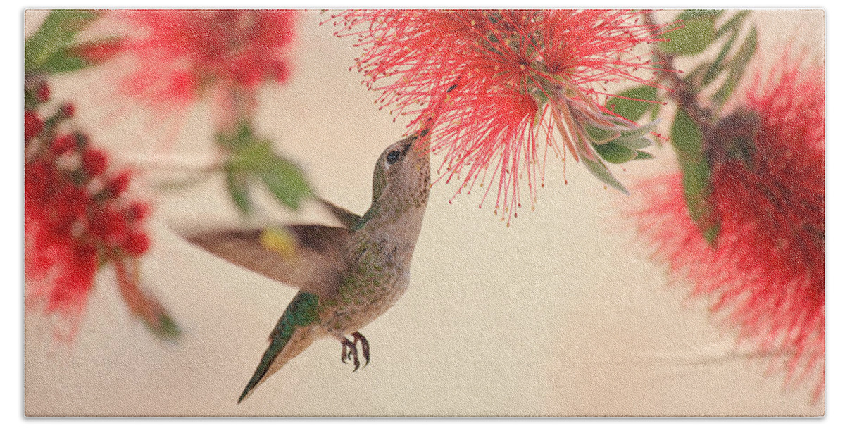 Hummingbird Beach Sheet featuring the photograph Hovering Hummingbird by Penny Meyers