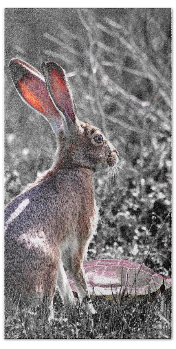 Year Of The Rabbit Beach Towel featuring the photograph How About Two Out of Three . Desaturated in Portrait by Wingsdomain Art and Photography
