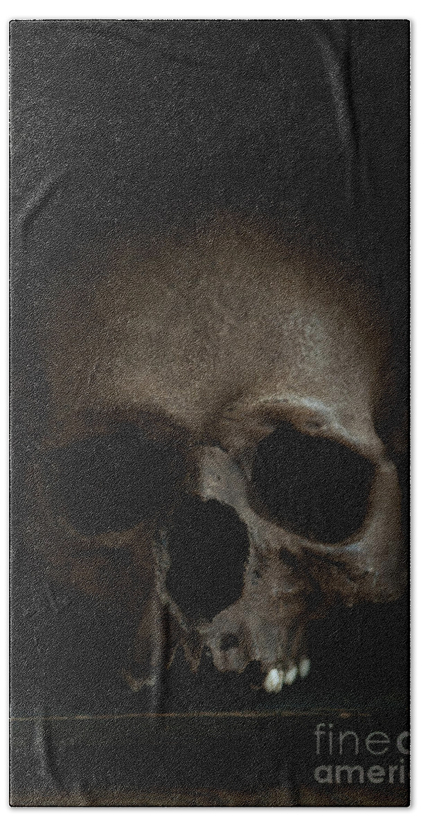 Human Skull Beach Sheet featuring the photograph Human Skull by Lee Avison
