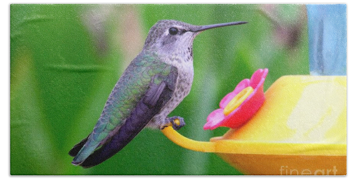 Green Beach Towel featuring the photograph Hummingbird 32 by Mary Deal