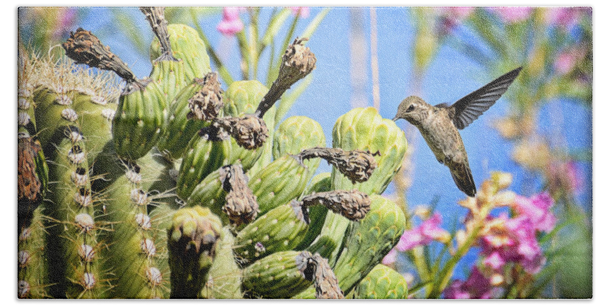 Arizona Beach Towel featuring the photograph Hummingbird and The Saguaro by Saija Lehtonen