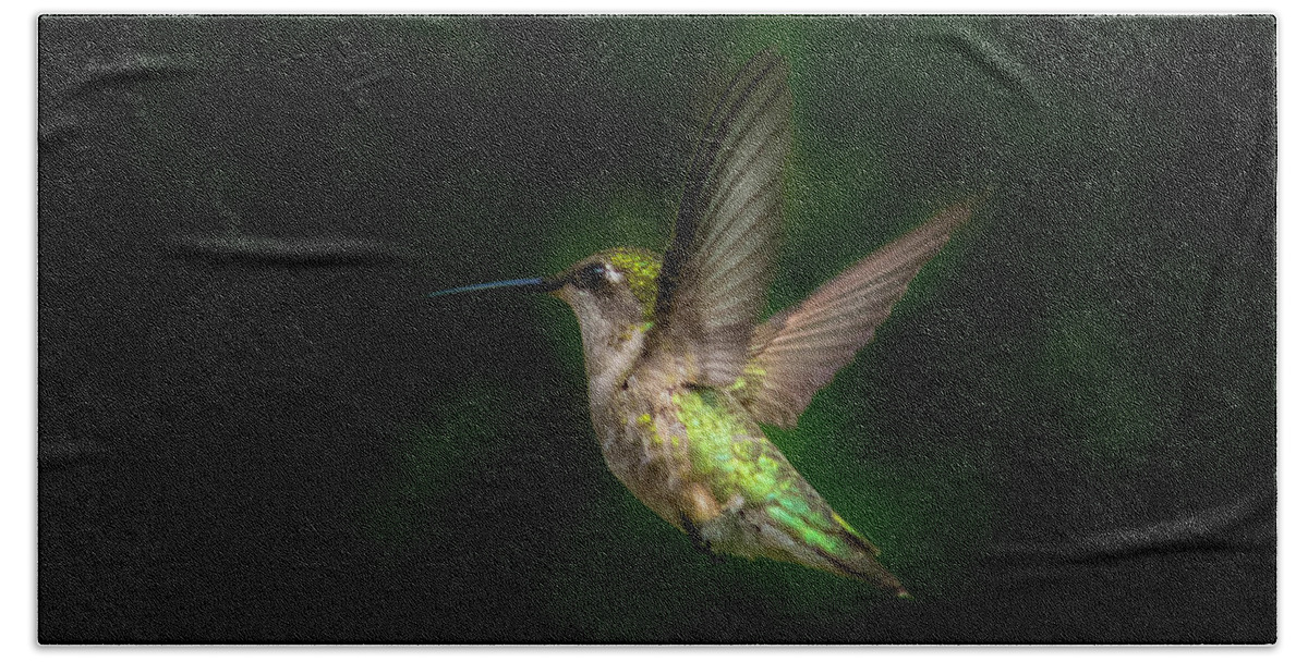 Young Ruby Throated Hummingbird Beach Sheet featuring the photograph Hummingbird b by Kenneth Cole