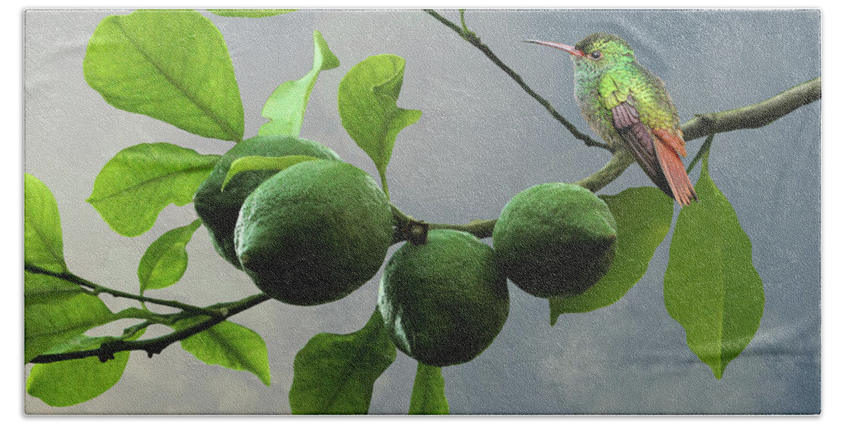 Fruit Beach Sheet featuring the digital art Hummingbird in LIme Tree by M Spadecaller