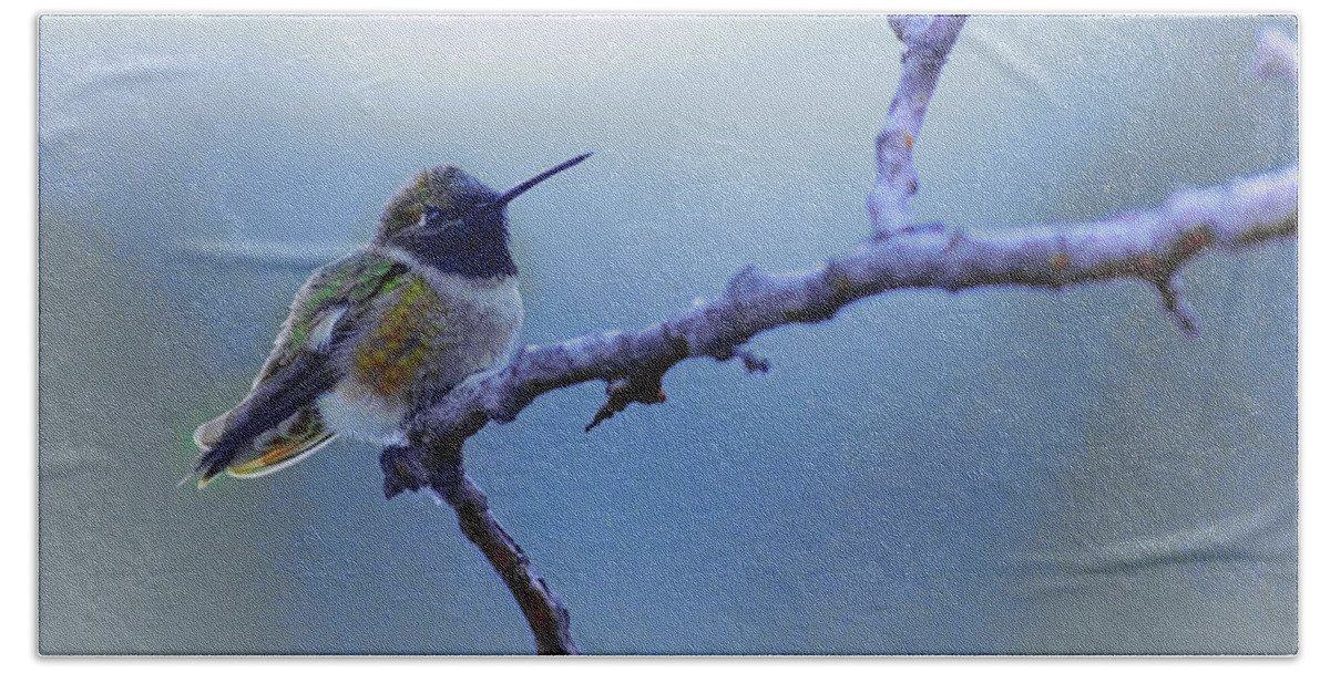 Hummingbird Beach Sheet featuring the photograph Hummingbird11 by Loni Collins