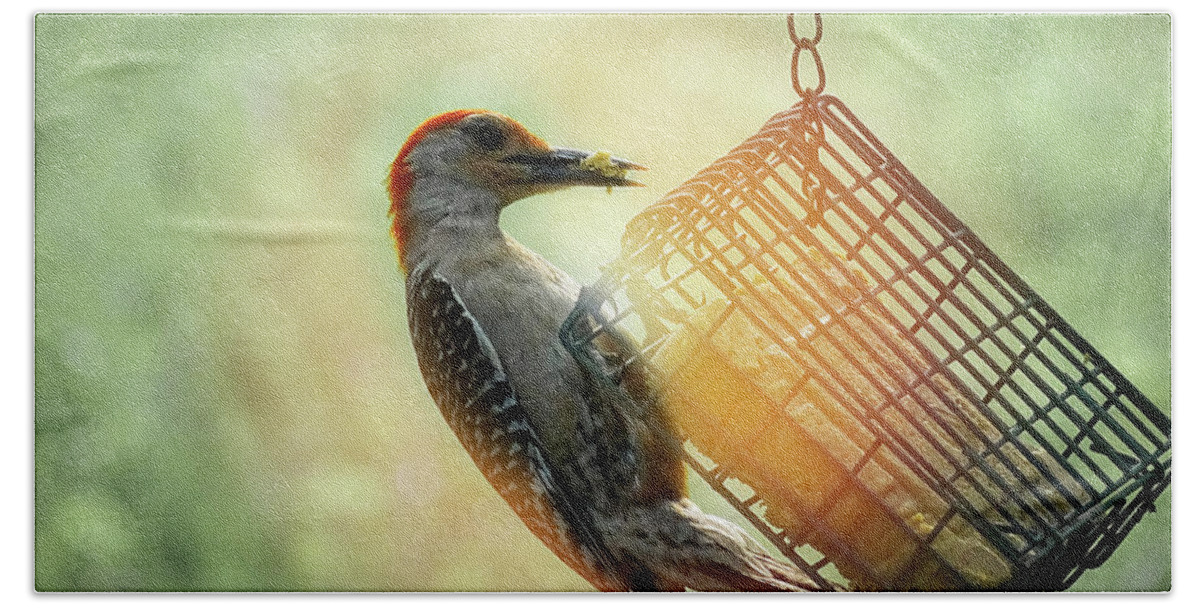 Photoshop Beach Towel featuring the photograph Hungry Woodpecker by Melissa Messick