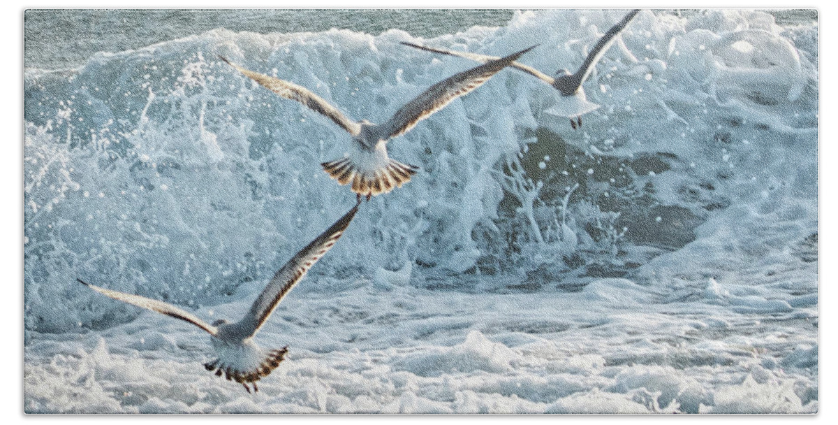 Seagulls Beach Towel featuring the photograph Hunting The Waves by Don Durfee