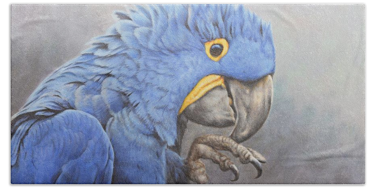 Wildlife Paintings Beach Towel featuring the painting Hyacinth Macaw by Alan M Hunt