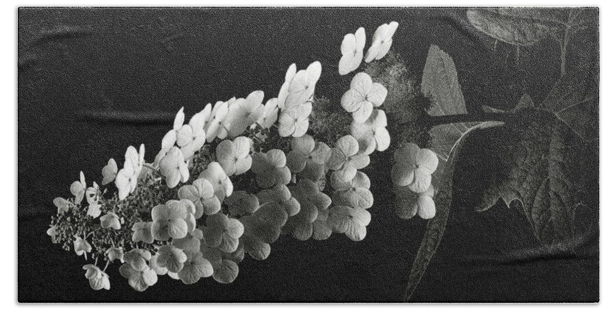 Flower Beach Towel featuring the photograph Hydrangea in Black and White by Endre Balogh