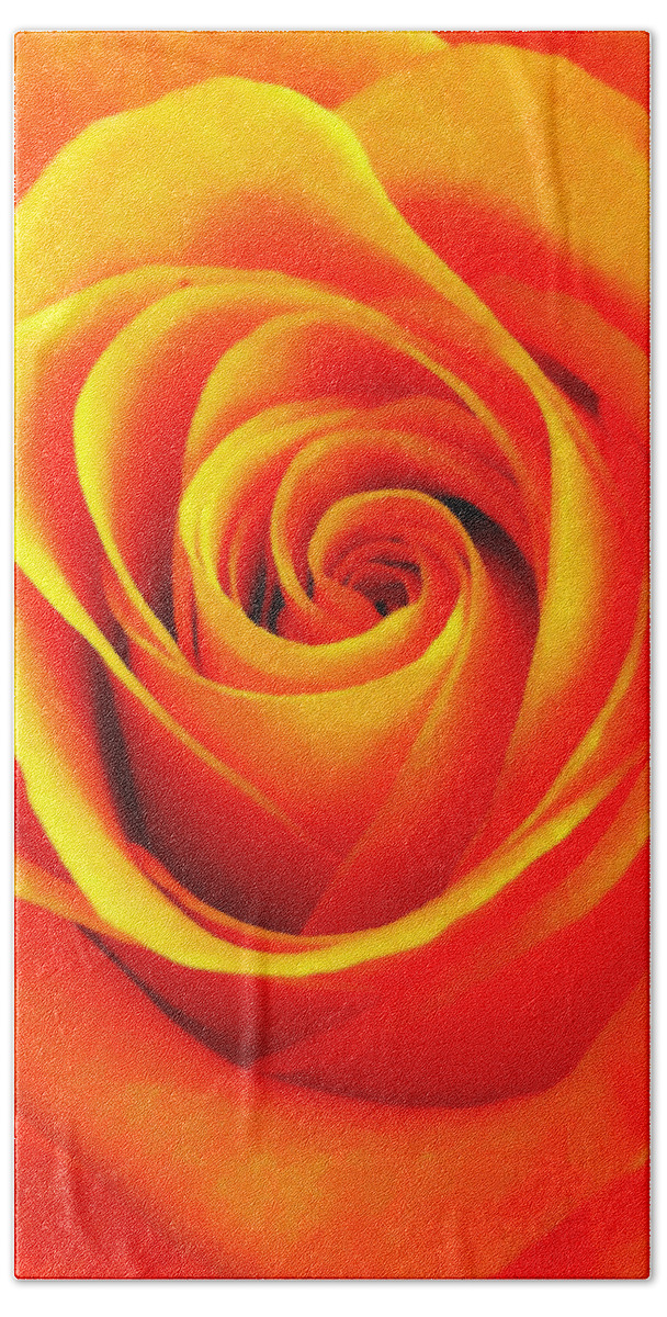 Macro Beach Towel featuring the photograph Hypnotic Orange by Nathan Little