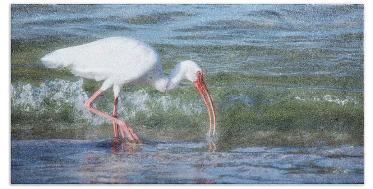 White Ibis Beach Towel featuring the photograph Ibis Morning Ocean Glow by Barbara Chichester