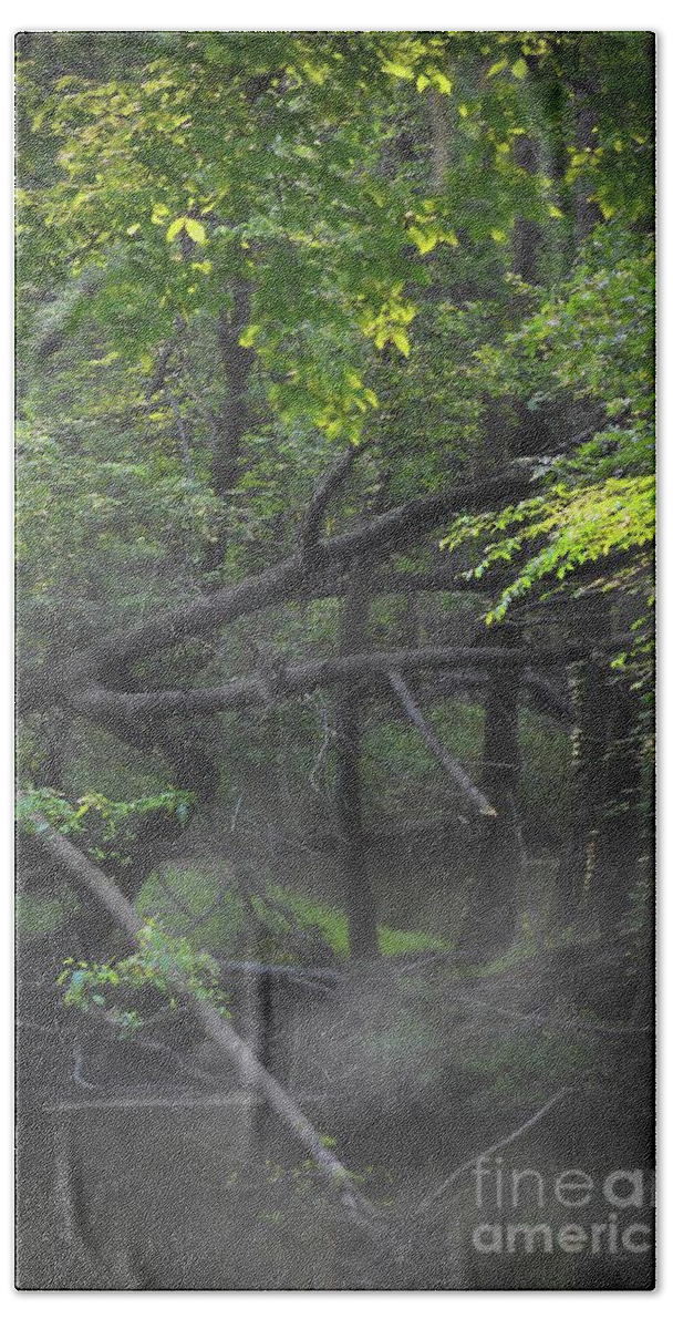 Scenic Tours Beach Towel featuring the photograph If A Tree Falls In The Woods by Skip Willits
