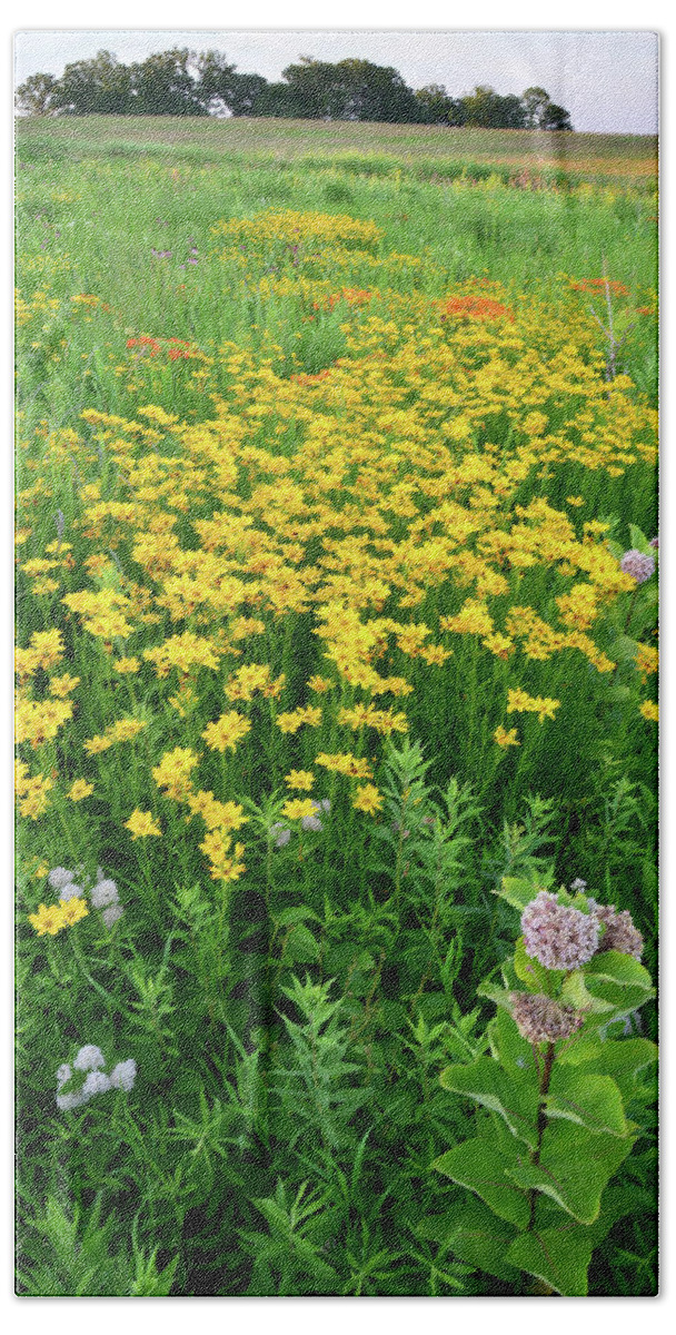 Illinois Beach Towel featuring the photograph Illinois Prairie Wildflowers by Ray Mathis