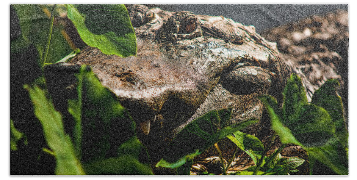 Alligator Beach Towel featuring the photograph I'm A Leaf - Just A Leaf by Christopher Holmes