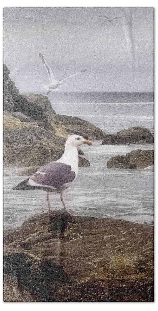 Oregon Coast Beach Sheet featuring the photograph In A Mood by Diane Schuster