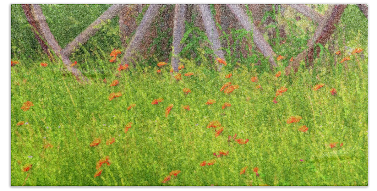East Dover Vermont Beach Sheet featuring the photograph Indian Paintbrush Flowers by Tom Singleton
