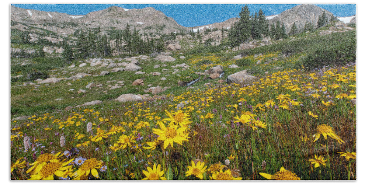 Indian Peaks Wilderness Area Beach Towel featuring the photograph Indian Peaks Summer Wildflowers by Cascade Colors