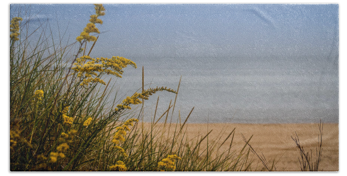 Beach Beach Towel featuring the photograph Indiana Dunes on Lake Michigan by Ron Pate