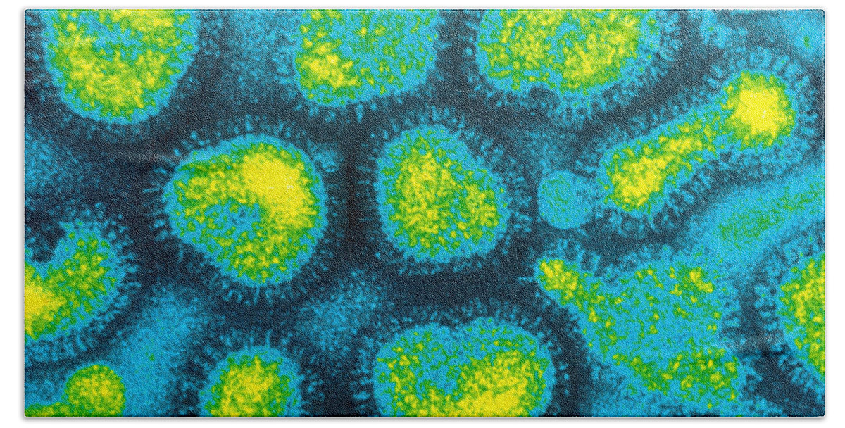 Influenza Beach Towel featuring the photograph Influenza Viruses, Tem by Omikron