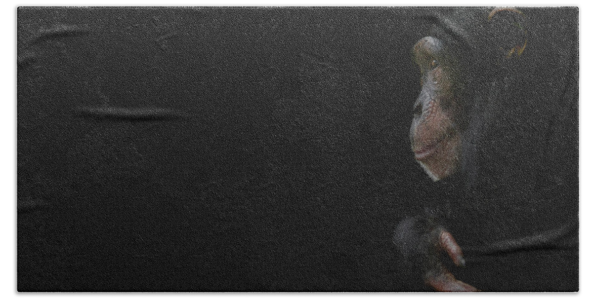 Chimpanzee Beach Towel featuring the photograph Innocence by Paul Neville