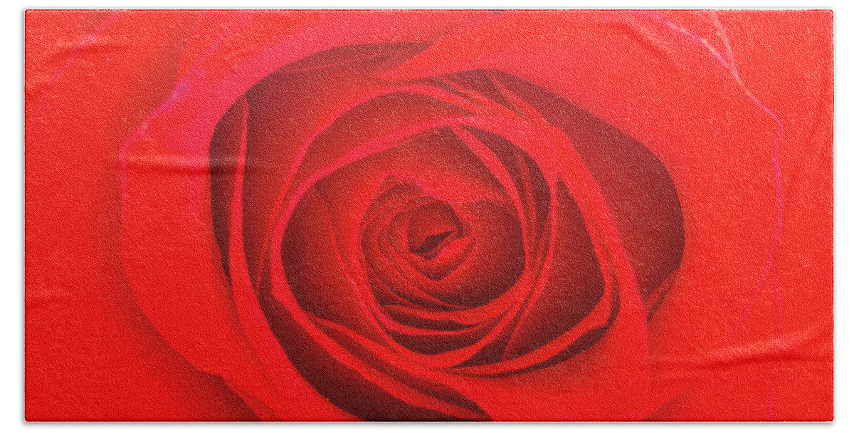 Valentine Beach Towel featuring the photograph Inside a Rose by Teri Virbickis