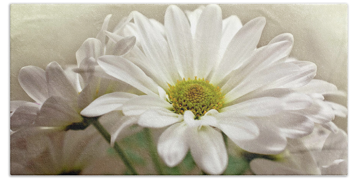 Daisies In Light Photo Beach Towel featuring the photograph Inspired Daisies Print by Gwen Gibson