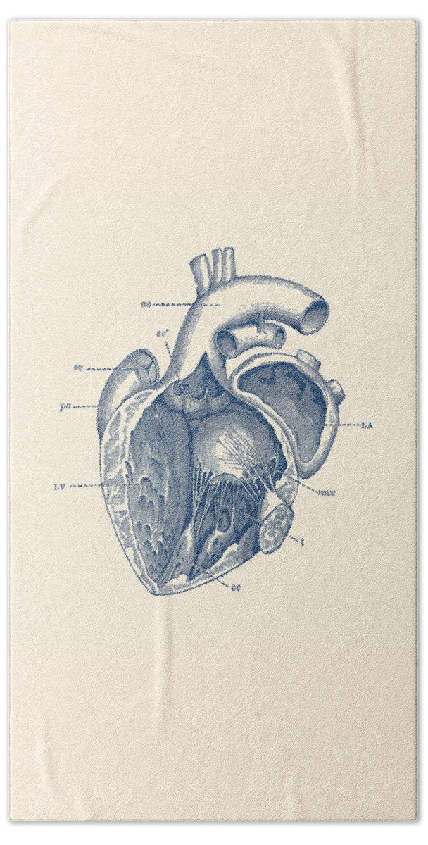 Internal Human Heart Diagram Anatomy Poster Beach Towel