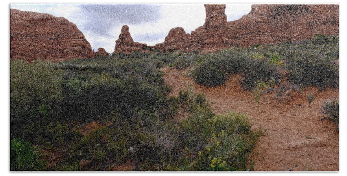 Landscape Beach Towel featuring the photograph Into the desert by Jessica Myscofski