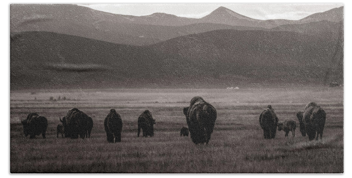 American West Beach Sheet featuring the photograph Into the sunset - BW by Chris Bordeleau