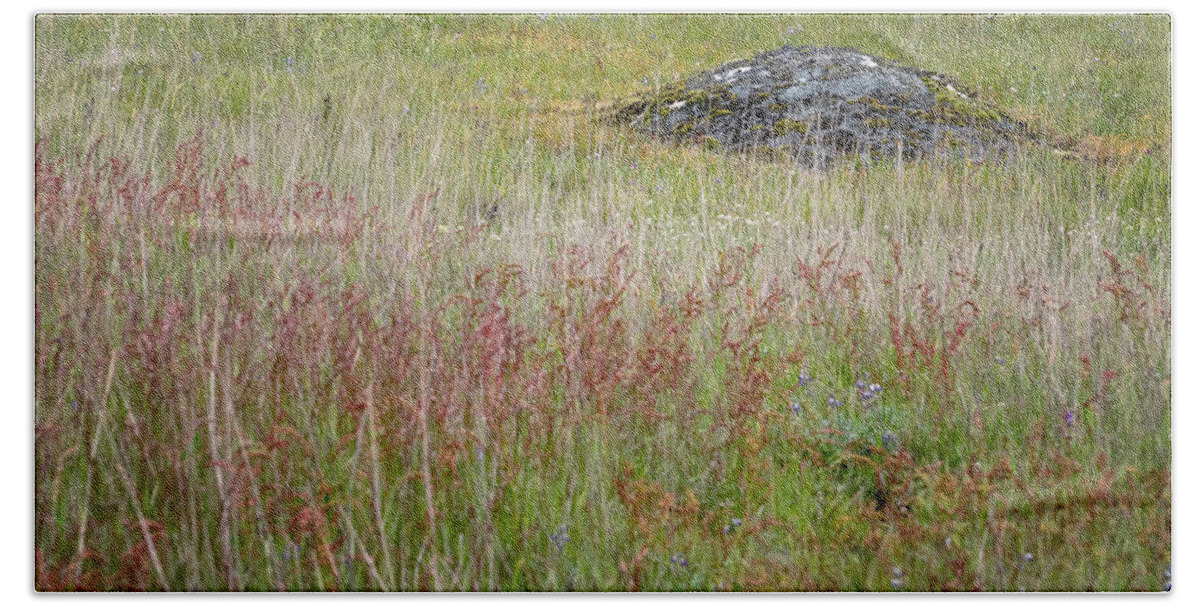 Oregon Coast Beach Towel featuring the photograph Island Field by Tom Singleton