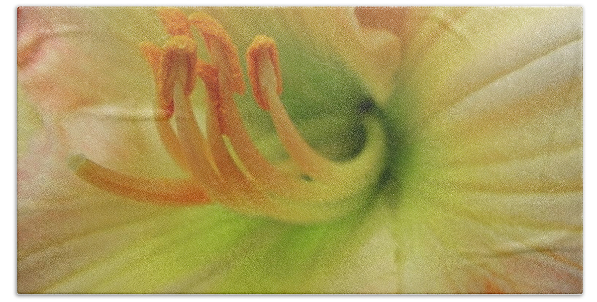 Flower Beach Towel featuring the photograph Island Forest Daylily Macro by Dale Kauzlaric