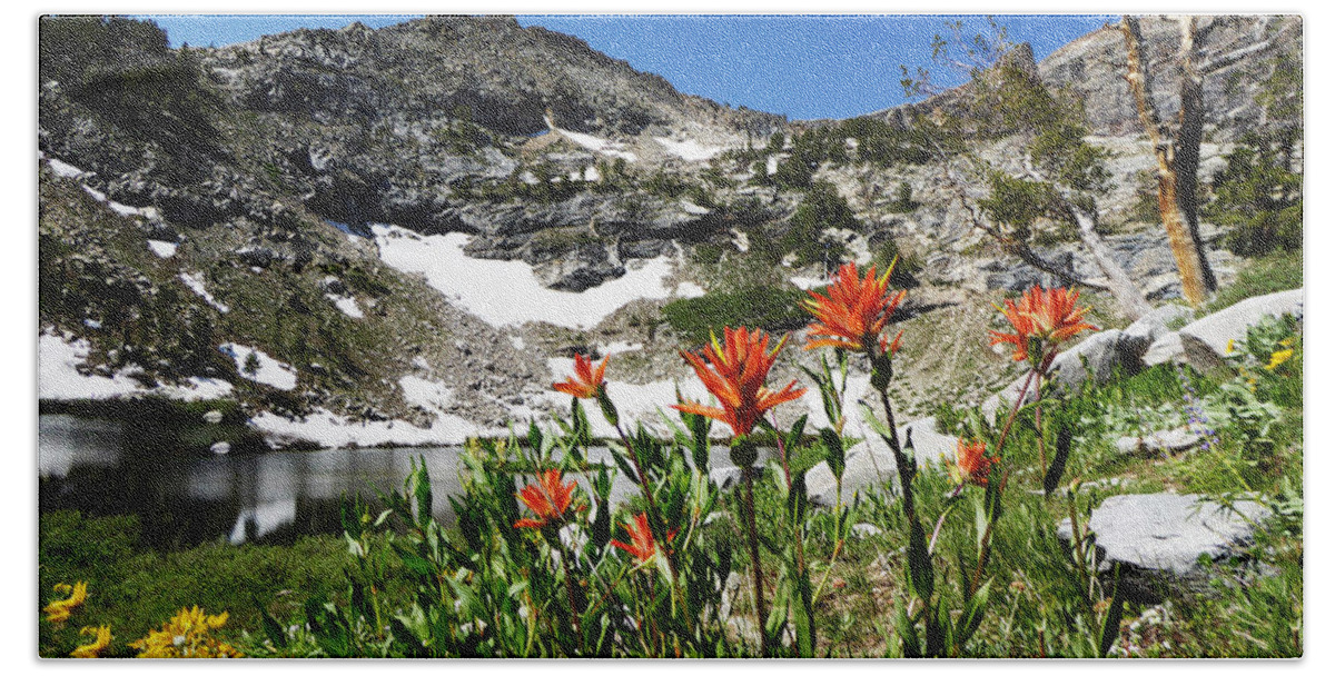Island Lake Beach Sheet featuring the photograph Island Lake with Wildflowers by Alan Socolik