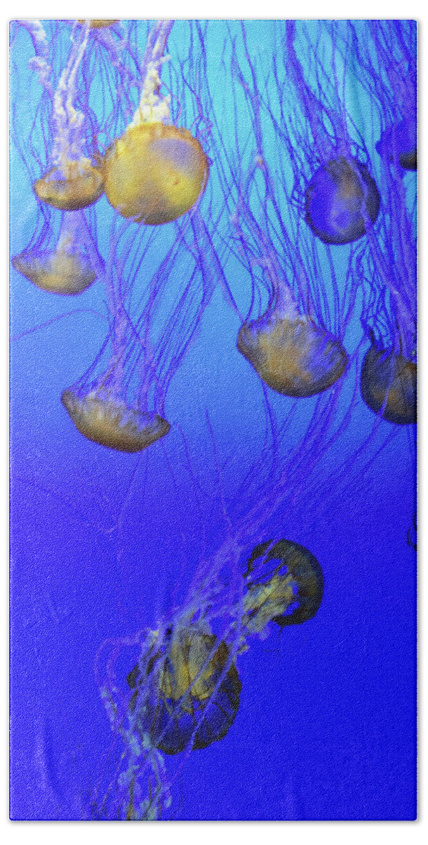 Jellies Beach Sheet featuring the photograph Jellies No. 408-1 by Sandy Taylor