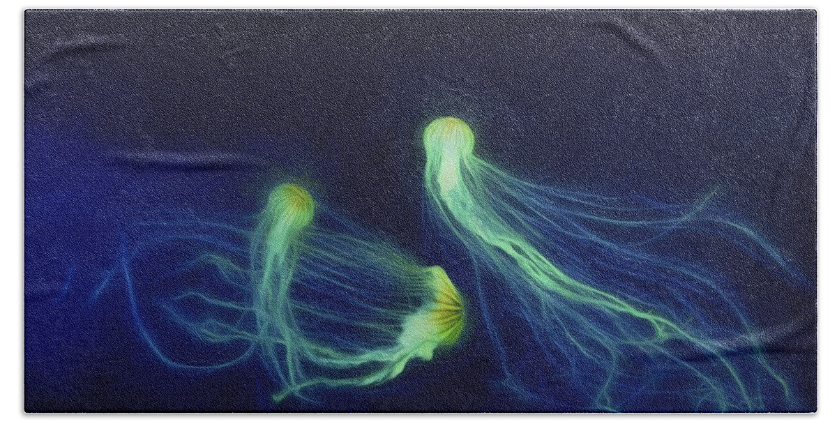 Jellyfish Beach Sheet featuring the photograph Jellyfish Tango by Steven Richardson