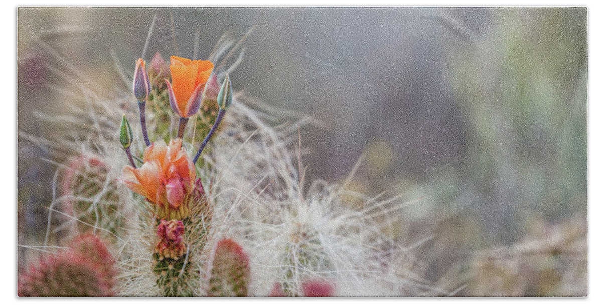 Cactus Beach Sheet featuring the photograph Joshua Tree Cactus and Flower by Peter Tellone