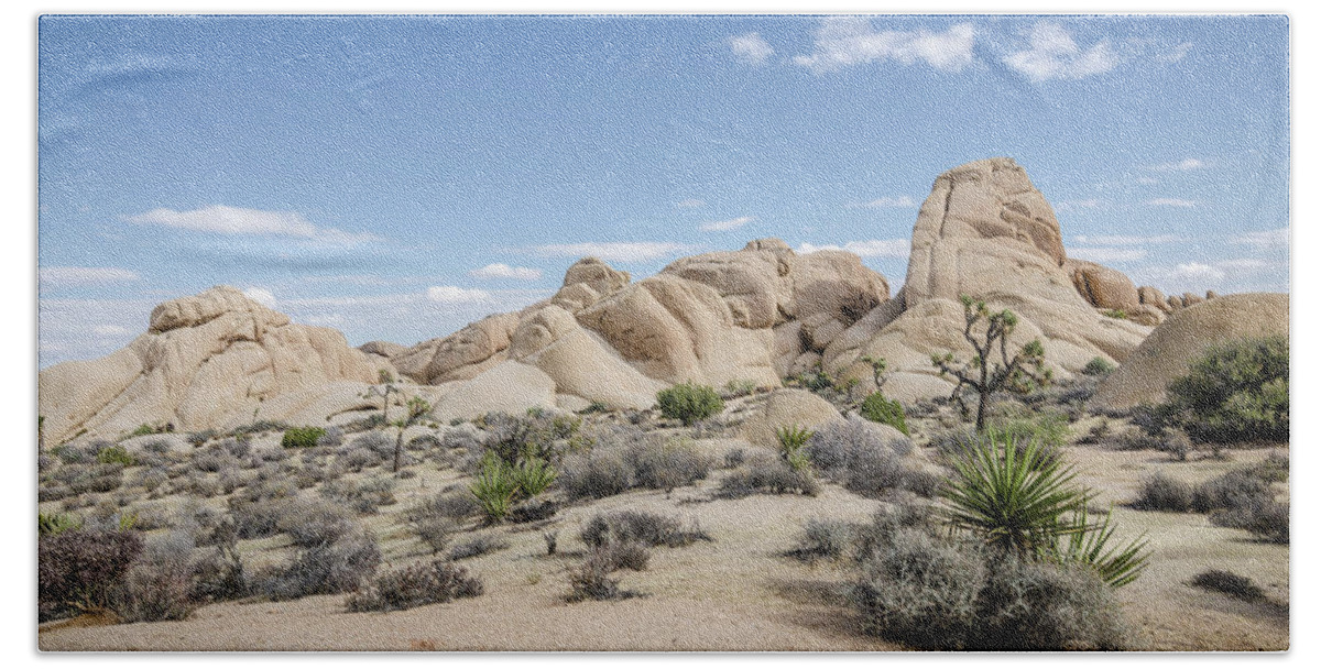 Landscape Beach Sheet featuring the photograph Joshua Tree No.1 by Margaret Pitcher