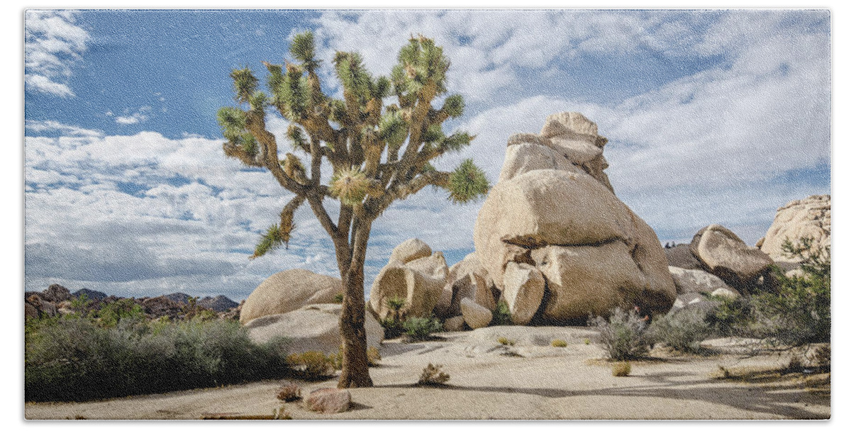 Landscape Beach Towel featuring the photograph Joshua Tree No.2 by Margaret Pitcher