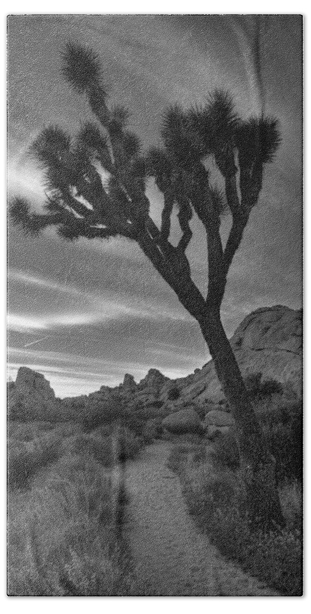 California Beach Towel featuring the photograph Joshua Tree Path by Peter Tellone