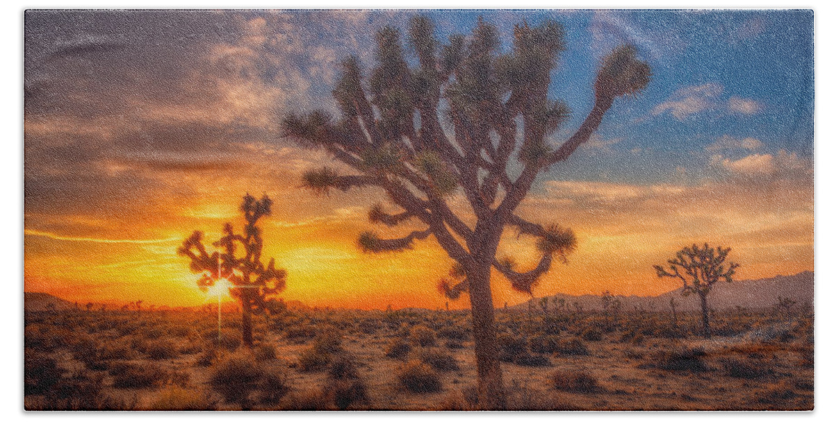 Joshua Tree Beach Sheet featuring the photograph Joshua Trees at Sunset by Rikk Flohr