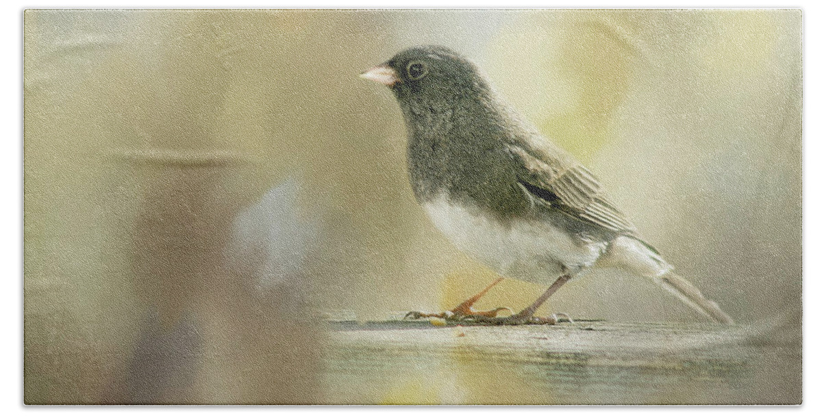 Junco Beach Towel featuring the photograph Junco by Cindi Ressler