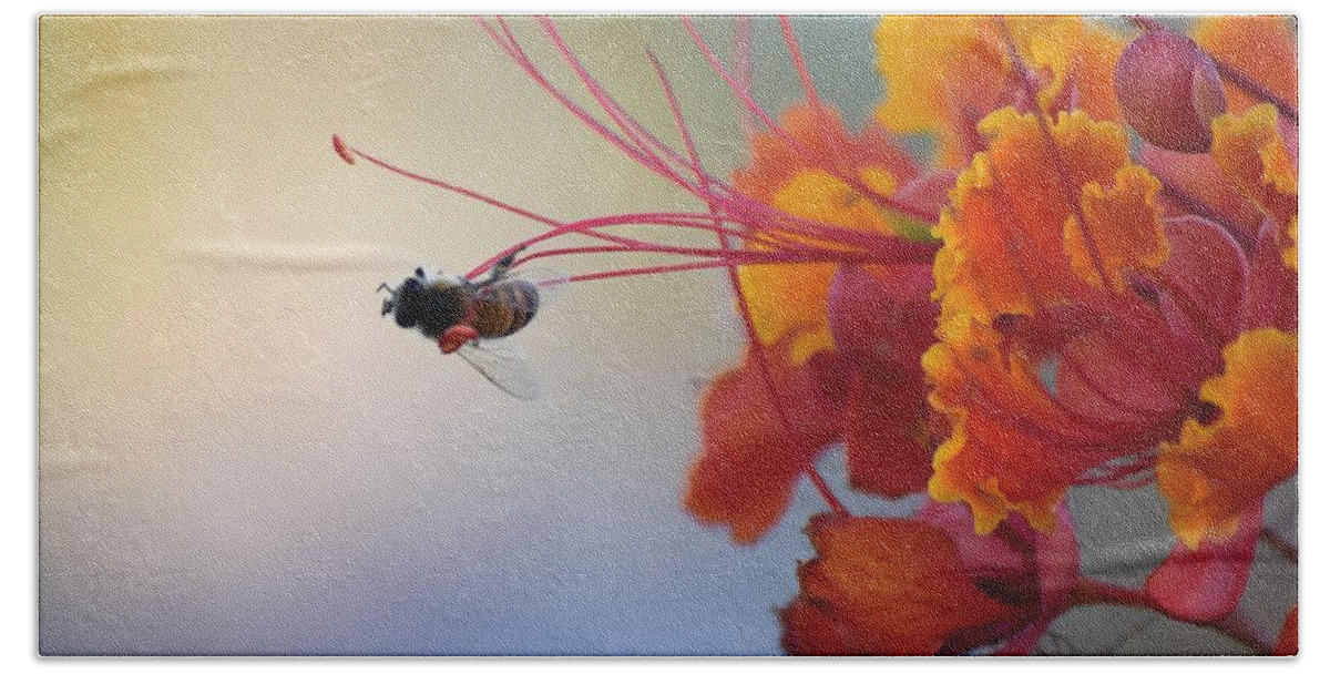 Honey Bee Beach Sheet featuring the photograph Just A Little Bit More by John Glass