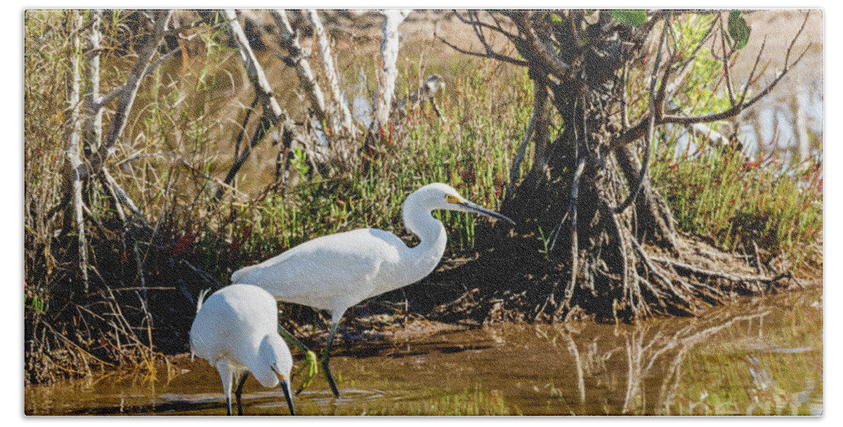 Birds Beach Towel featuring the photograph Just chillin by Les Greenwood