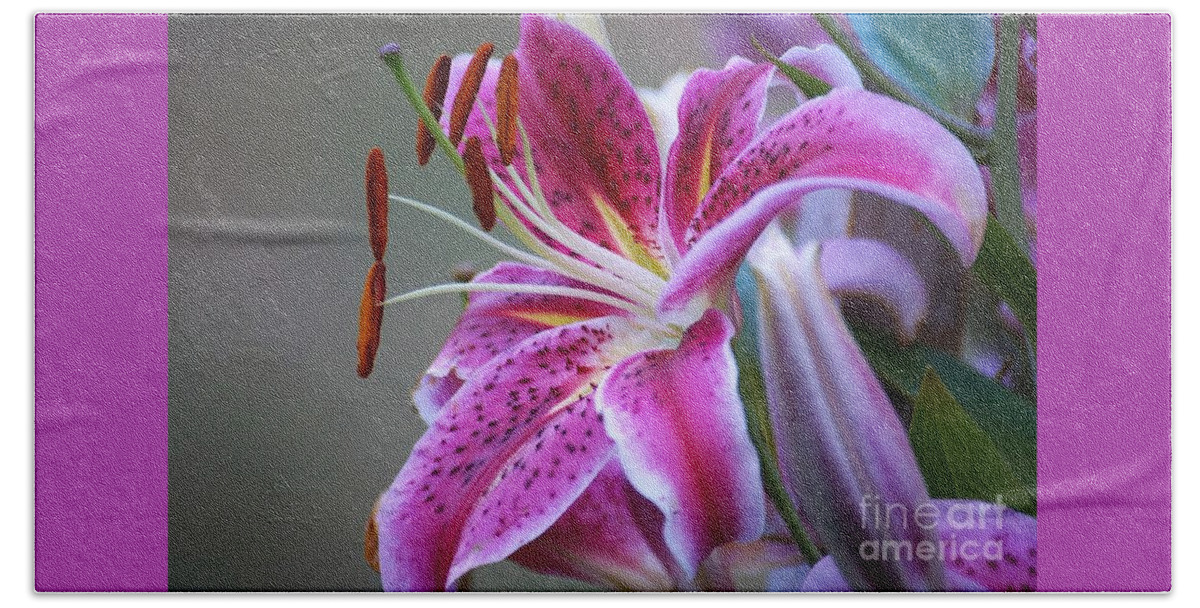 Lilly Beach Towel featuring the photograph K and D Lilly 6 by Merle Grenz