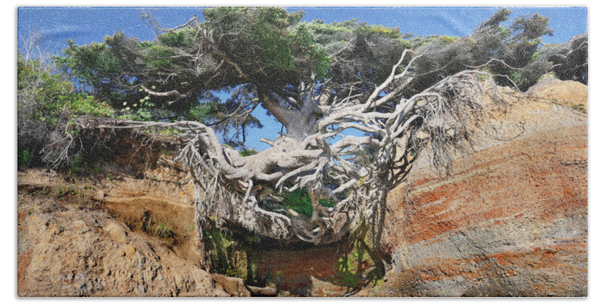 Kalaloch Beach Towel featuring the photograph Kalaloch Tree of Life by Martin Konopacki