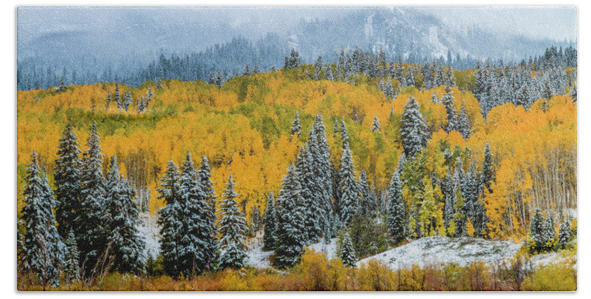 Aspen Trees Beach Towel featuring the photograph Kebler Pass Fall Color in the Snow by Teri Virbickis