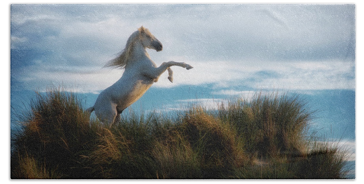 Horse Beach Sheet featuring the photograph King of the Mountain by Wade Aiken