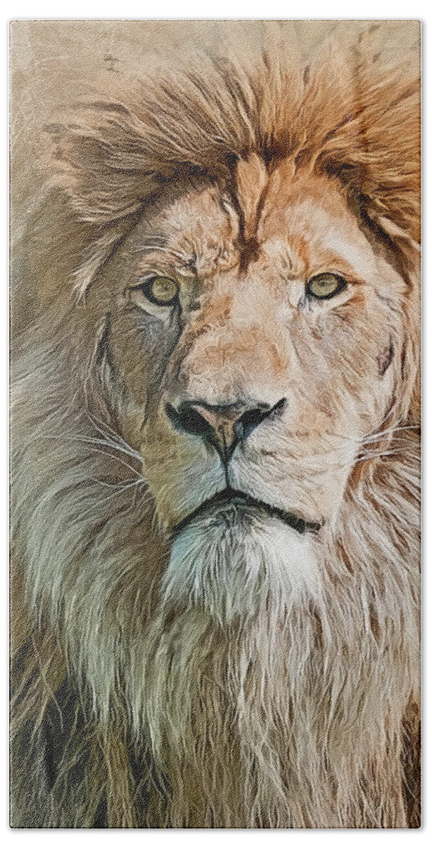 Lion Beach Towel featuring the photograph King of The Pride by Brian Tarr