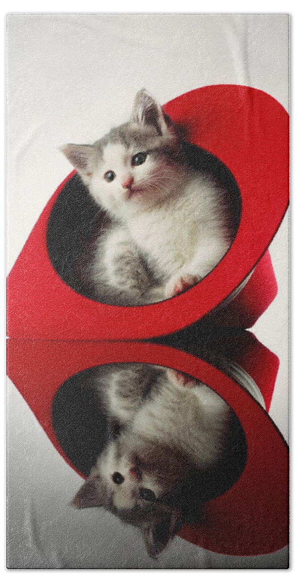 Kitten Beach Towel featuring the photograph Kitten in the Hat by Judi Quelland