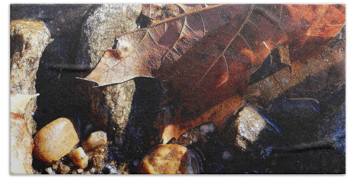 Leaves Beach Towel featuring the photograph Laeves In Fall by Wolfgang Schweizer